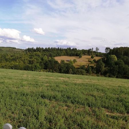 Ferienwohnung Altmaier - Ferien Auf Dem Lande Griebelschied 外观 照片