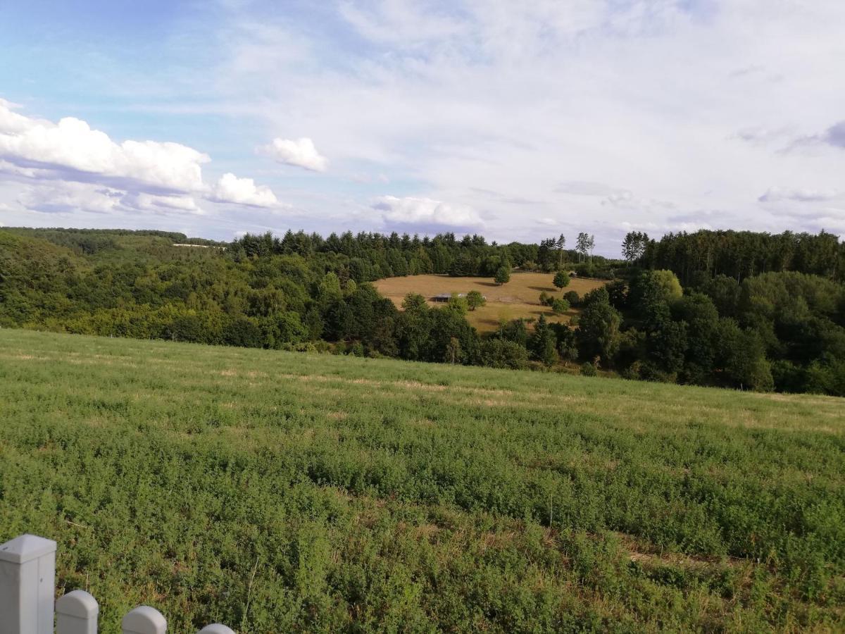 Ferienwohnung Altmaier - Ferien Auf Dem Lande Griebelschied 外观 照片