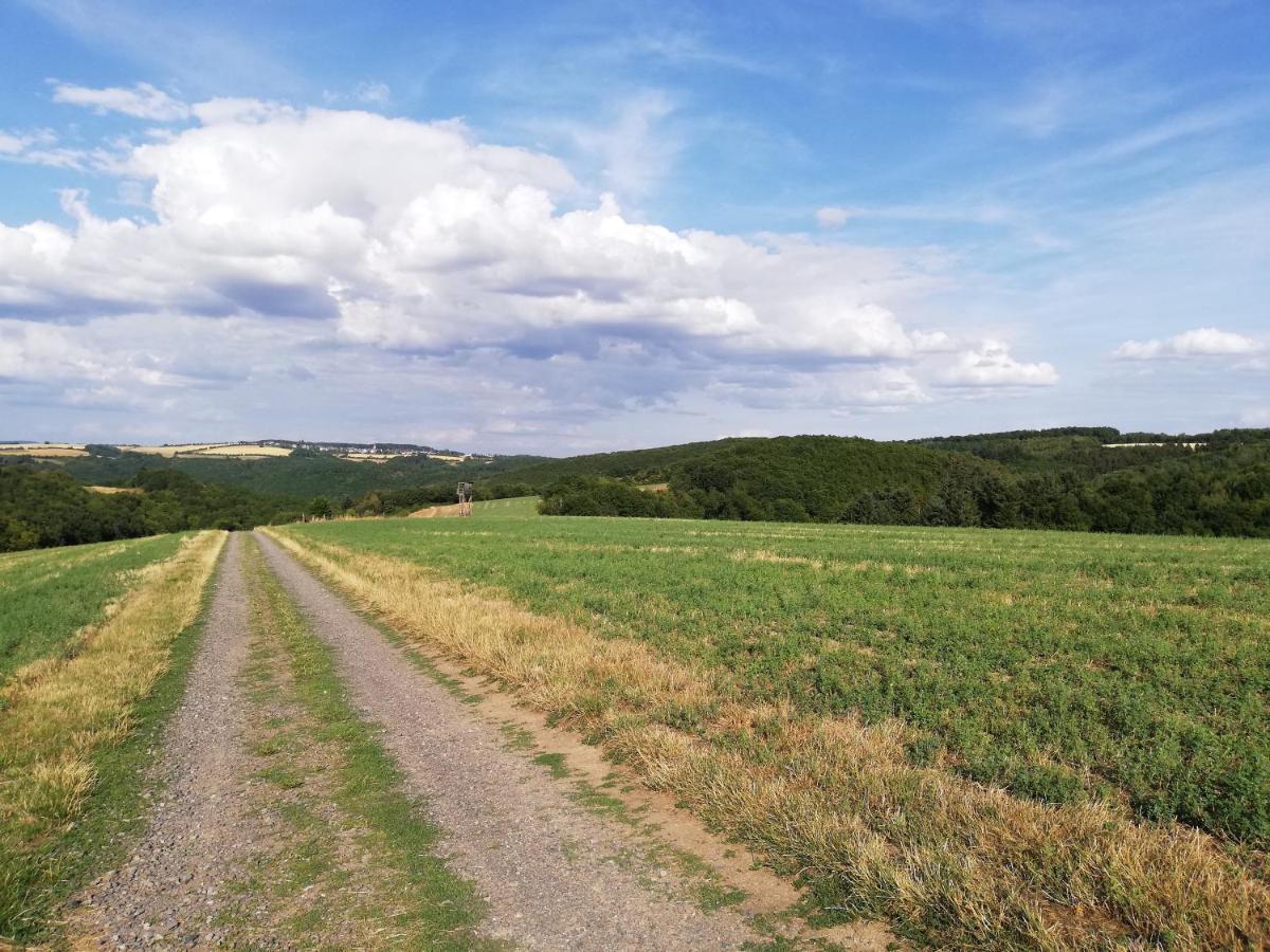 Ferienwohnung Altmaier - Ferien Auf Dem Lande Griebelschied 外观 照片