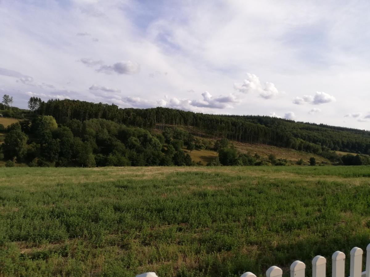 Ferienwohnung Altmaier - Ferien Auf Dem Lande Griebelschied 外观 照片